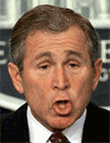 images/gallery/caricature/bush.gif