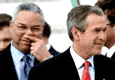 images/gallery/gif/17-bushstink.gif