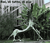 images/gallery/accadde-oggi/cavallorai.gif
