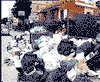 images/gallery/accadde-oggi/immondizia.gif