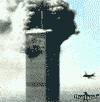images/gallery/accadde-oggi/torre.gif