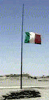 images/gallery/gif/02-bandiera.gif
