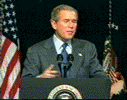 images/gallery/gif/13-bushbang.gif