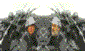 images/gallery/gif/35-guerradel18.gif