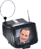 images/gallery/gif/66-vespatele.gif